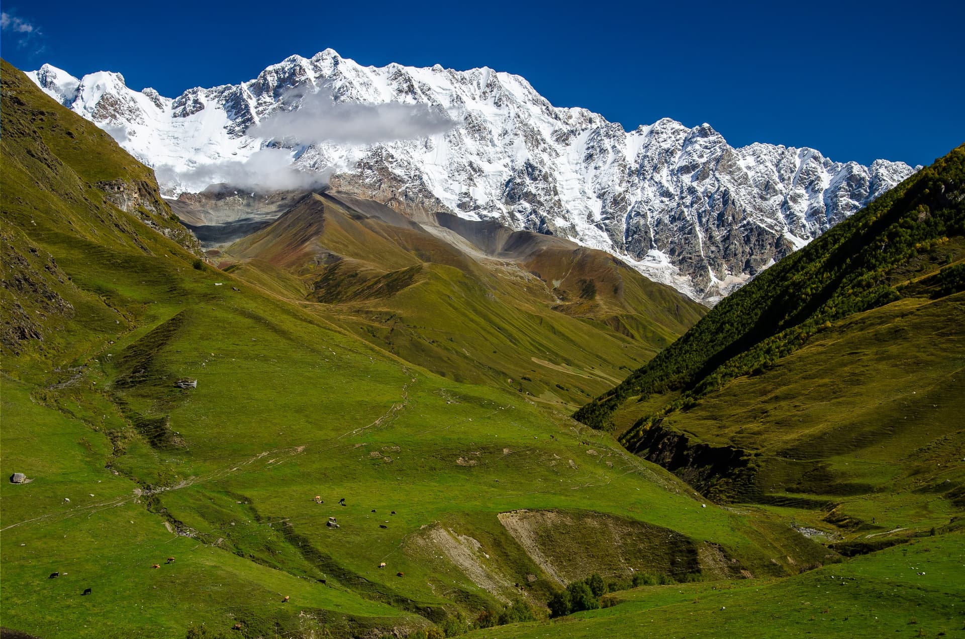 Der Berg Chkhara, höchster Gipfel Georgiens