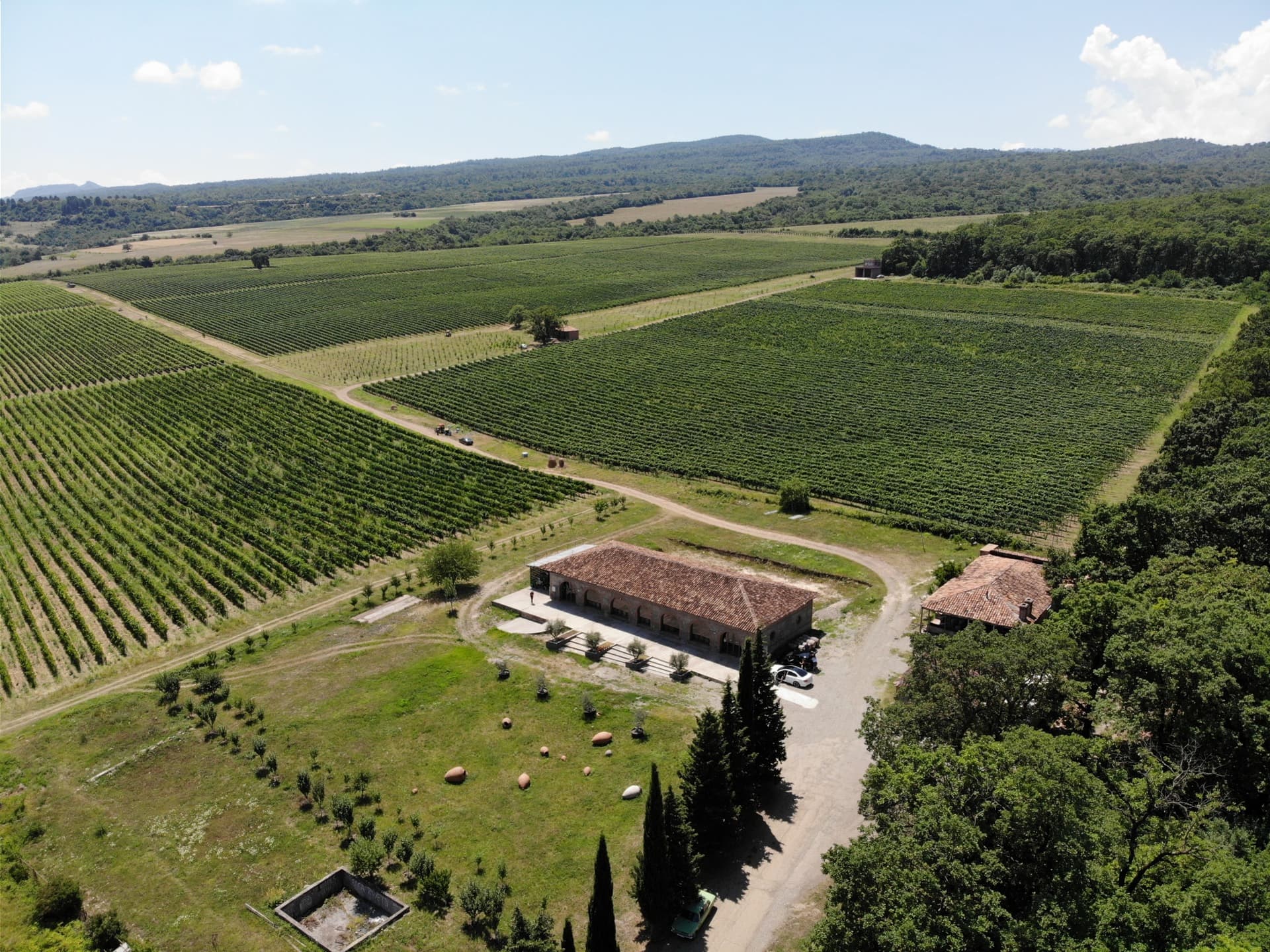 paysage viticoole tsinandali